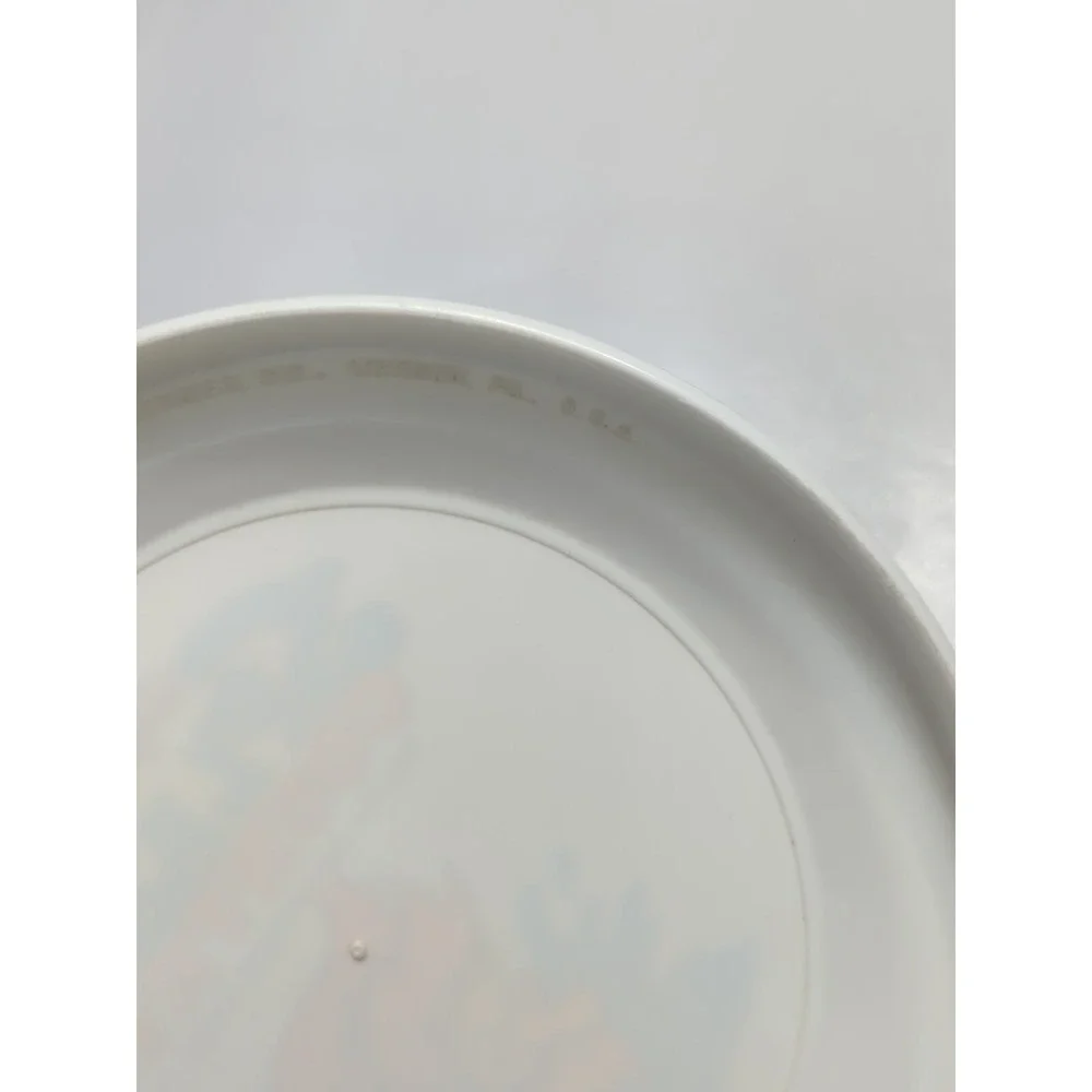 Dollywood Splash Country Frisbee Toy 2011‎ Rare USA Made Outdoors Collectible